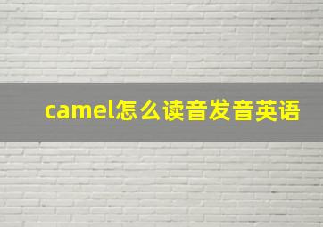 camel怎么读音发音英语