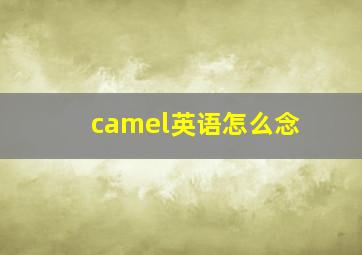 camel英语怎么念