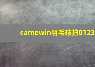 camewin羽毛球拍0123