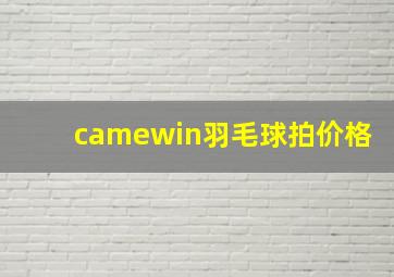 camewin羽毛球拍价格