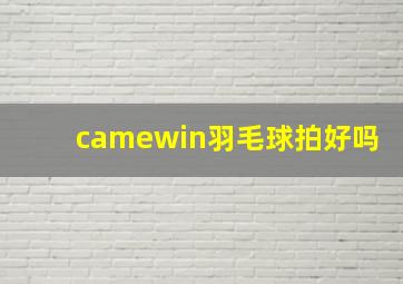 camewin羽毛球拍好吗