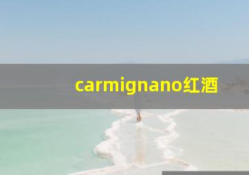 carmignano红酒