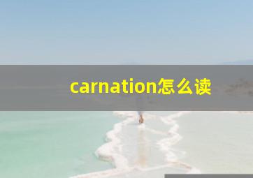 carnation怎么读