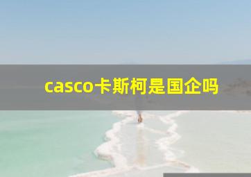 casco卡斯柯是国企吗