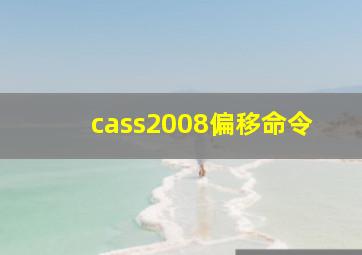 cass2008偏移命令