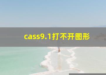 cass9.1打不开图形