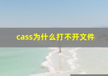 cass为什么打不开文件