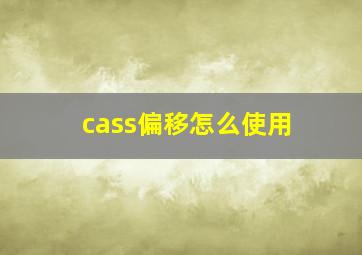 cass偏移怎么使用