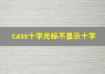 cass十字光标不显示十字