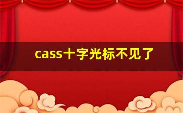 cass十字光标不见了