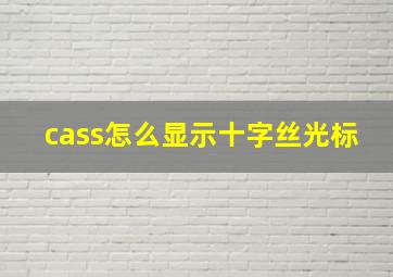 cass怎么显示十字丝光标