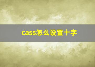 cass怎么设置十字