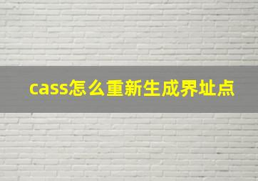 cass怎么重新生成界址点