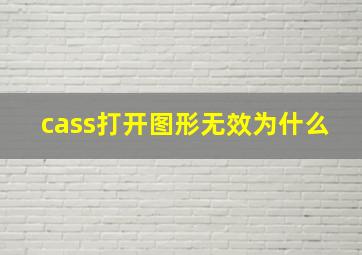 cass打开图形无效为什么