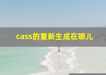 cass的重新生成在哪儿