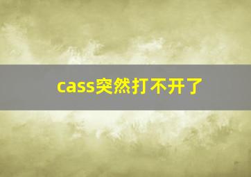 cass突然打不开了