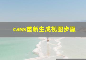 cass重新生成视图步骤