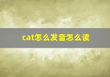 cat怎么发音怎么读