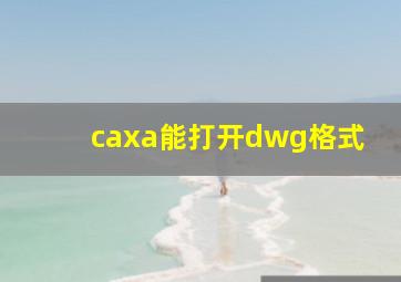 caxa能打开dwg格式