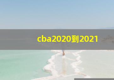 cba2020到2021