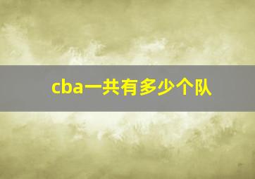 cba一共有多少个队