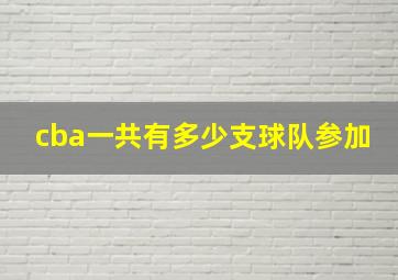 cba一共有多少支球队参加