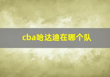 cba哈达迪在哪个队