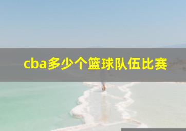 cba多少个篮球队伍比赛