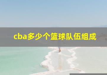 cba多少个篮球队伍组成