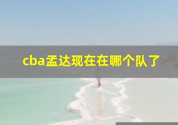 cba孟达现在在哪个队了