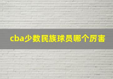 cba少数民族球员哪个厉害