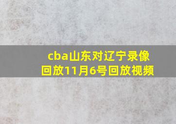 cba山东对辽宁录像回放11月6号回放视频