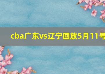 cba广东vs辽宁回放5月11号