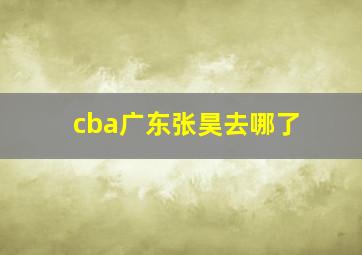 cba广东张昊去哪了