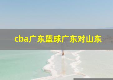 cba广东篮球广东对山东