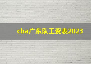 cba广东队工资表2023