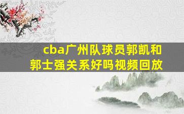 cba广州队球员郭凯和郭士强关系好吗视频回放