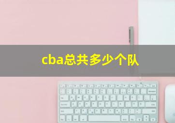 cba总共多少个队