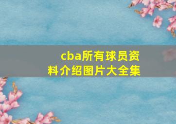 cba所有球员资料介绍图片大全集