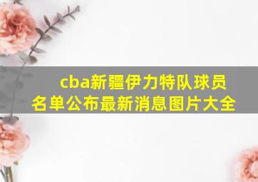 cba新疆伊力特队球员名单公布最新消息图片大全