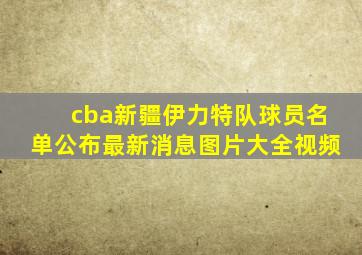 cba新疆伊力特队球员名单公布最新消息图片大全视频