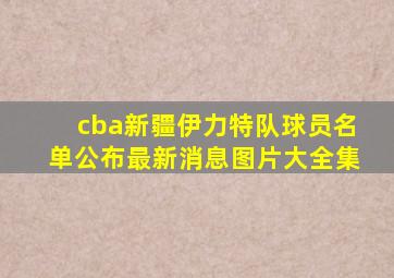 cba新疆伊力特队球员名单公布最新消息图片大全集