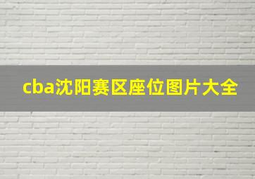 cba沈阳赛区座位图片大全