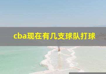 cba现在有几支球队打球