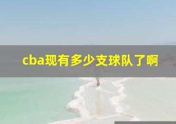 cba现有多少支球队了啊