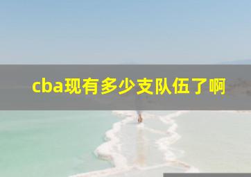 cba现有多少支队伍了啊