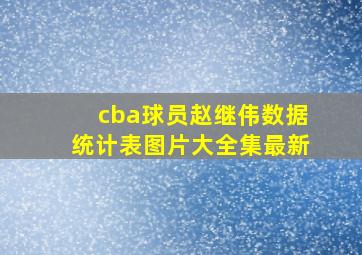 cba球员赵继伟数据统计表图片大全集最新