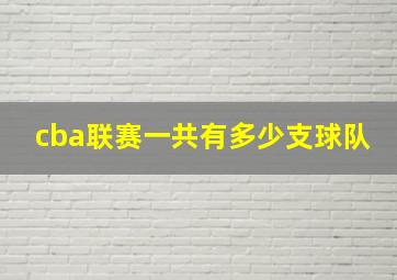 cba联赛一共有多少支球队