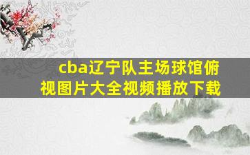 cba辽宁队主场球馆俯视图片大全视频播放下载