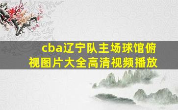 cba辽宁队主场球馆俯视图片大全高清视频播放